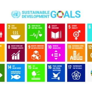 Building a Culture Around the UN’s 17 Sustainable Development Goals