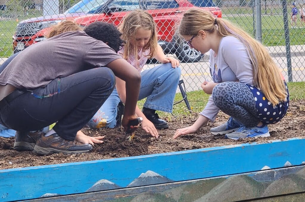 Children in a garden bed digging and planting plants.