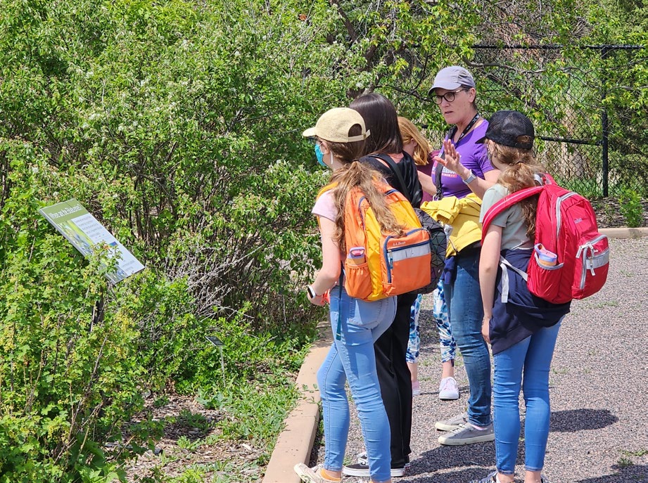 CEC Press Release Summer Camp 2023 CEC Students walking on a trail and learning about nature.
