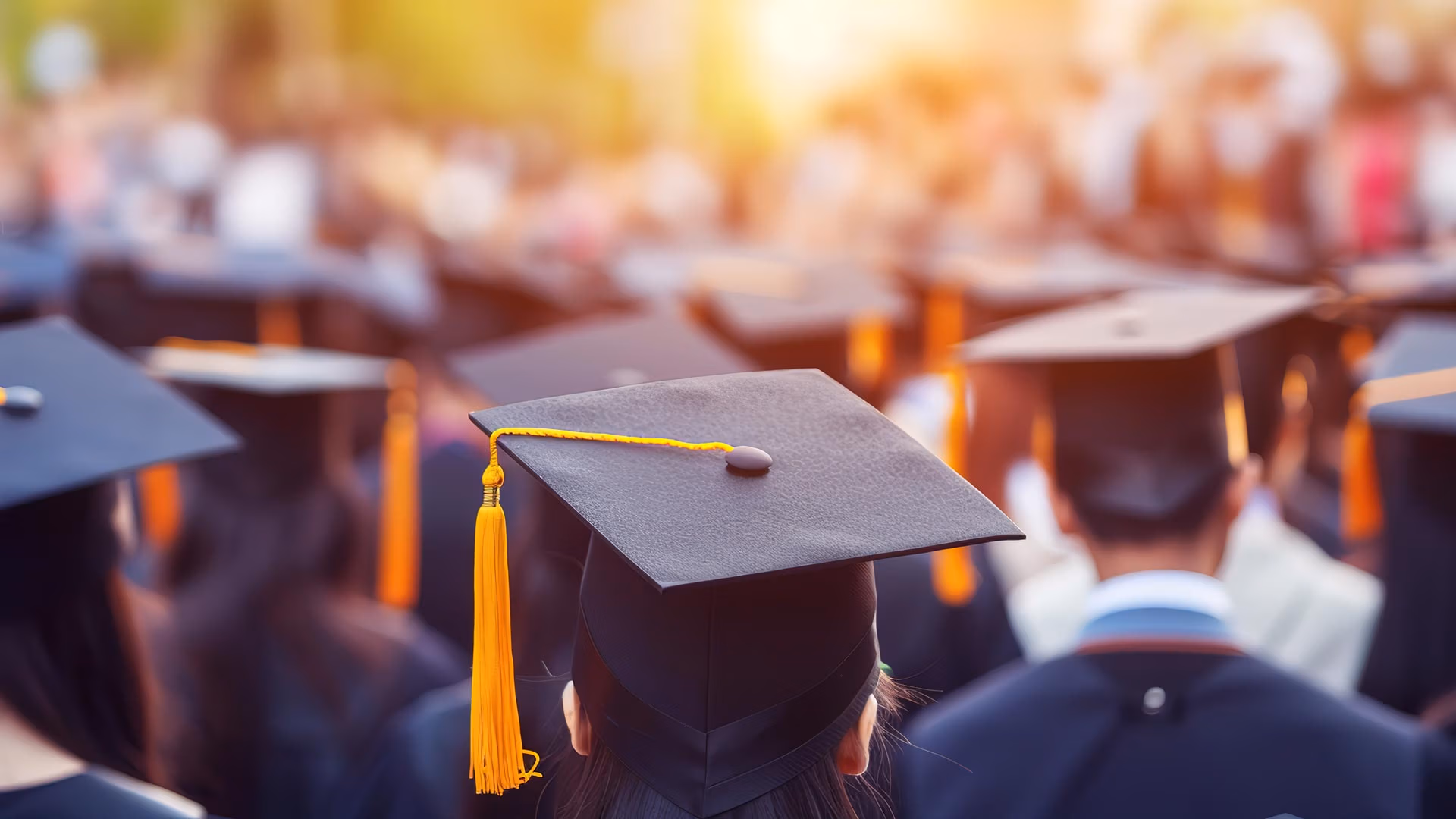 Homepage-New Colorado Early Colleges graduate students facing away from the camera wearing caps and gowns.